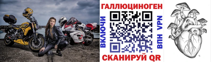купить наркотики сайты  Черногорск  гидра tor  Псилоцибиновые грибы Magic Shrooms 